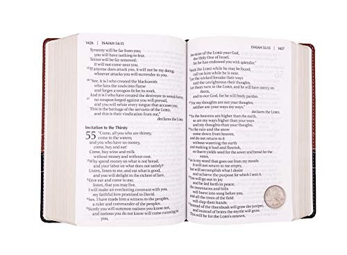 NIV, Giant Print Compact Bible, Giant Print, Leathersoft, Brown/Black