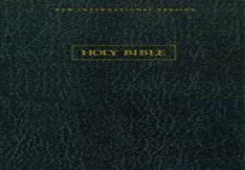 NIV Wide Margin Bible