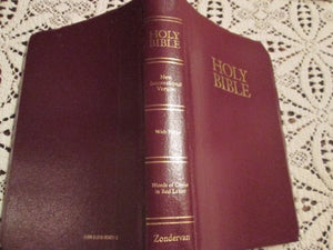 New International Version Deluxe Award Bible