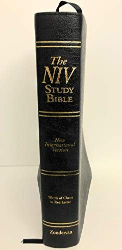 Niv Study Bible