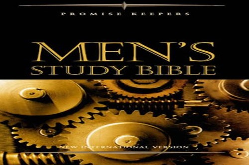 Niv Pk Mens Study Bible
