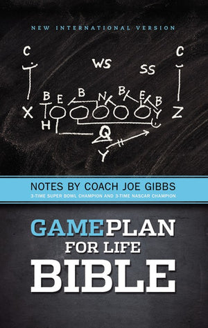 NIV, Game Plan for Life Bible, Hardcover