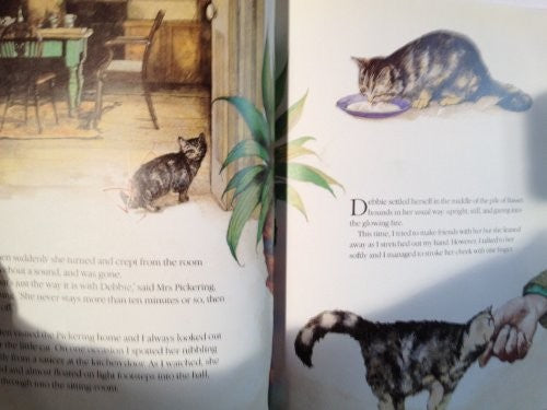 The Christmas Day Kitten