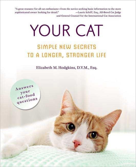 Your Cat