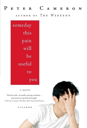 Someday This Pain Will Be Useful to You