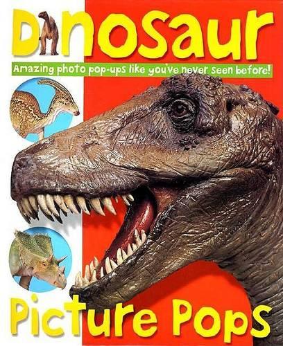 Picture Pops Dinosaur