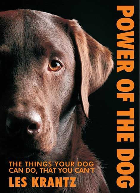 Power of the Dog