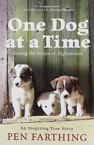 One Dog at a Time