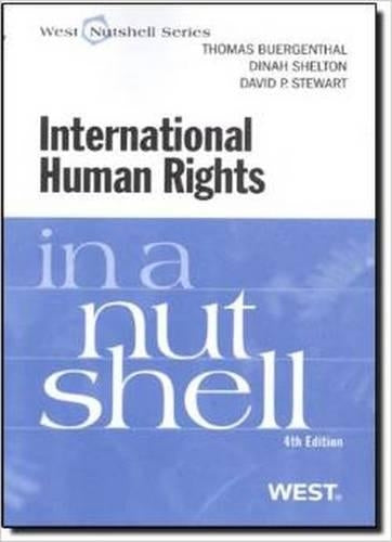 International Human Rights in a Nutshell