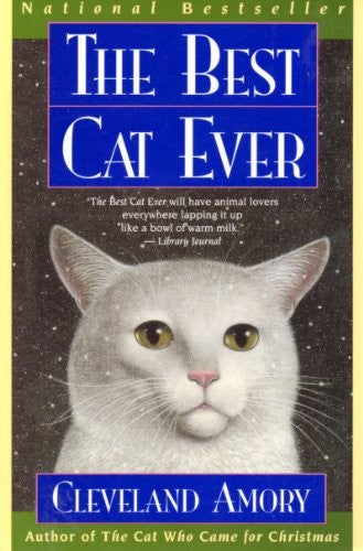 The Best Cat Ever