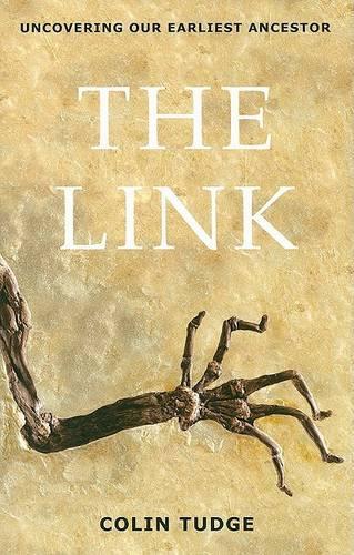 The Link