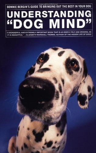 Understanding 'Dog Mind'