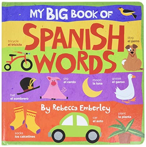 My Big Book Of Spanish Words