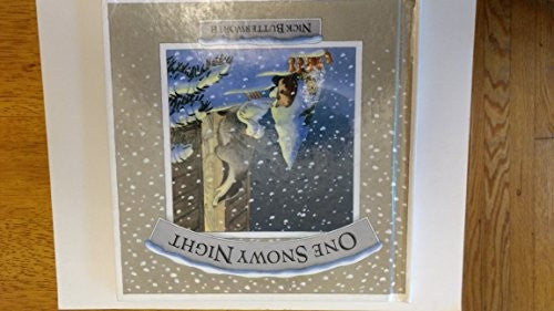 One Snowy Night