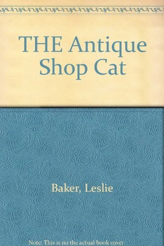 THE Antique Shop Cat