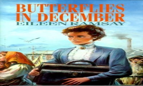 Butterflies in December