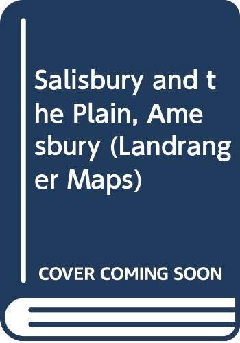 Salisbury and the Plain, Amesbury