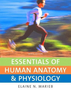 Essentials of Human Anatomy & Physiology with Essentials of InterActive Physiology CD-ROM 