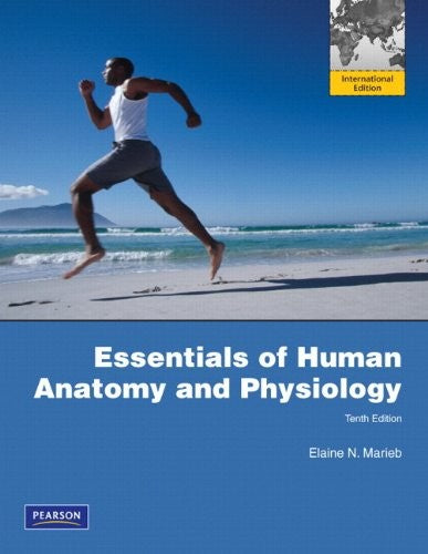 Essentials of Human Anatomy & Physiology