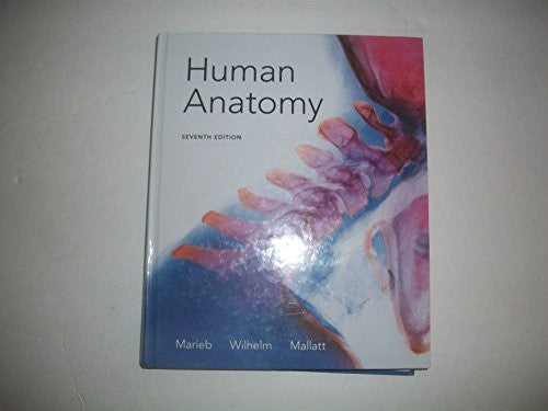 Human Anatomy