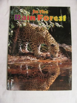 In the Rain Forest