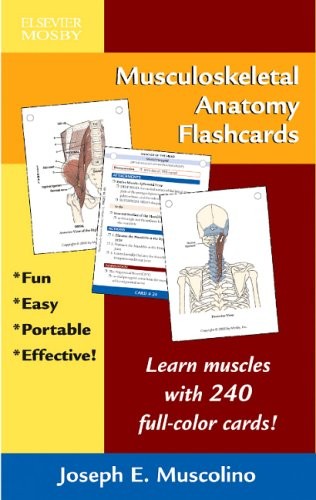 Musculoskeletal Anatomy Flashcards