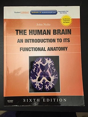 The Nolte's the Human Brain