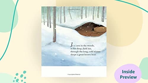 Bear Snores on