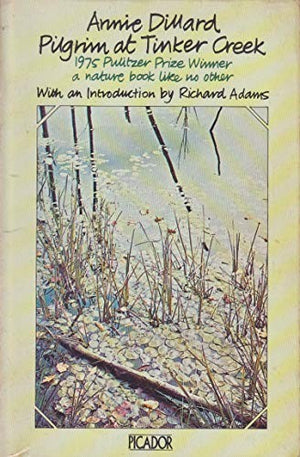 Pilgrim at Tinker Creek
