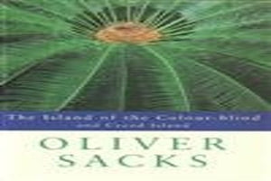 The Island of the Colourblind 