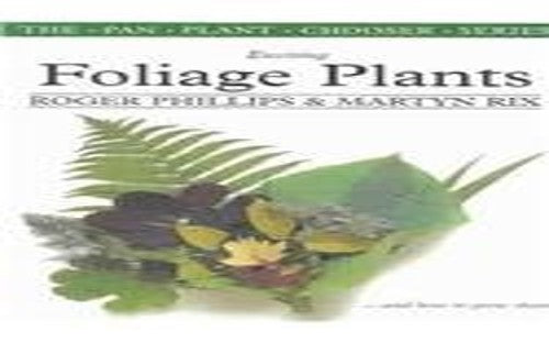 Exciting Foliage Plants