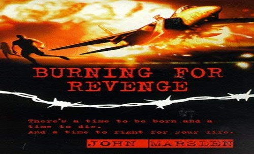 Burning for Revenge