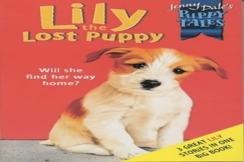 Lily the Lost Puppy Bind-Up (PB)