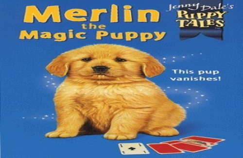 Puppy Tales 11:Merlin Magic Puppy