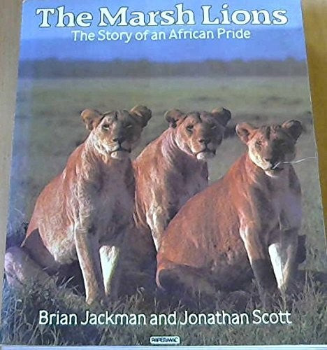 Marsh Lions