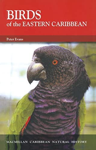 Birds Of The Eastern Caribbean