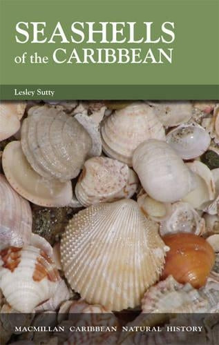 Seashells Of The Caribbean