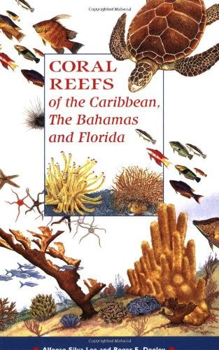 Coral Reefs Caribbean The Bahamas and Florida