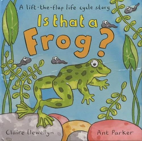 Is That A Frog? A Lift-The-Flap Lifecycle Story