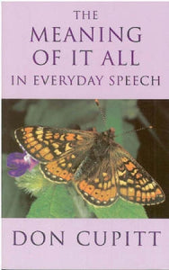 Meaning of it All in Everyday Speech 