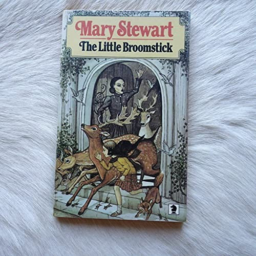 The Little Broomstick