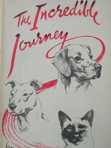 The Incredible Journey