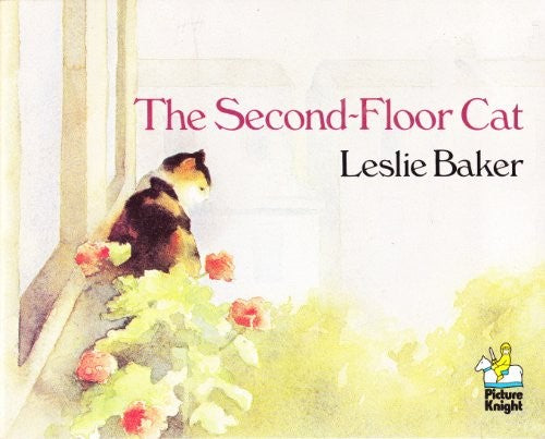 Second Floor Cat