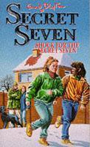 Shock For The Secret Seven