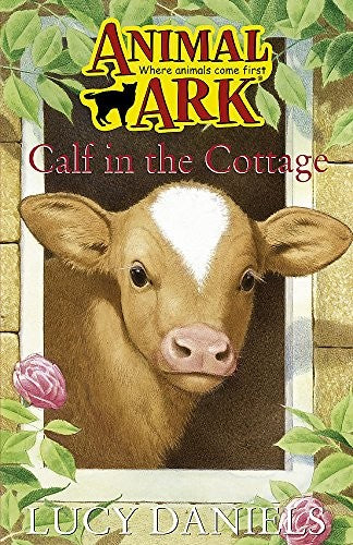 Calf In The Cottage