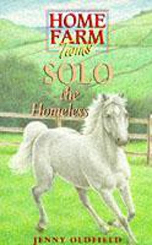 Solo The Homeless