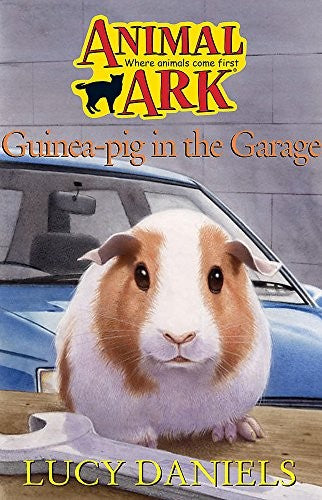 Guinea-pig in the Garage