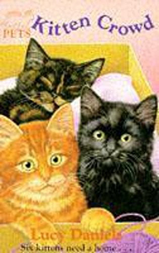 Kitten Crowd