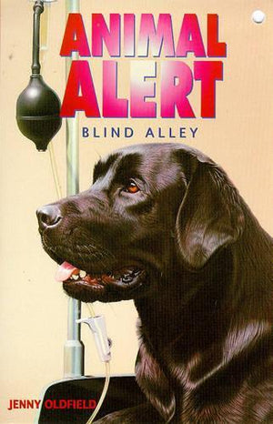 Blind Alley