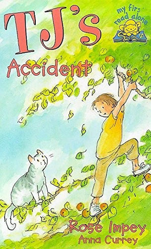 Tj's Accident